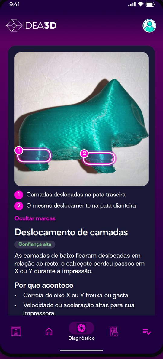Resultado do diagnóstico com as falhas marcadas na foto